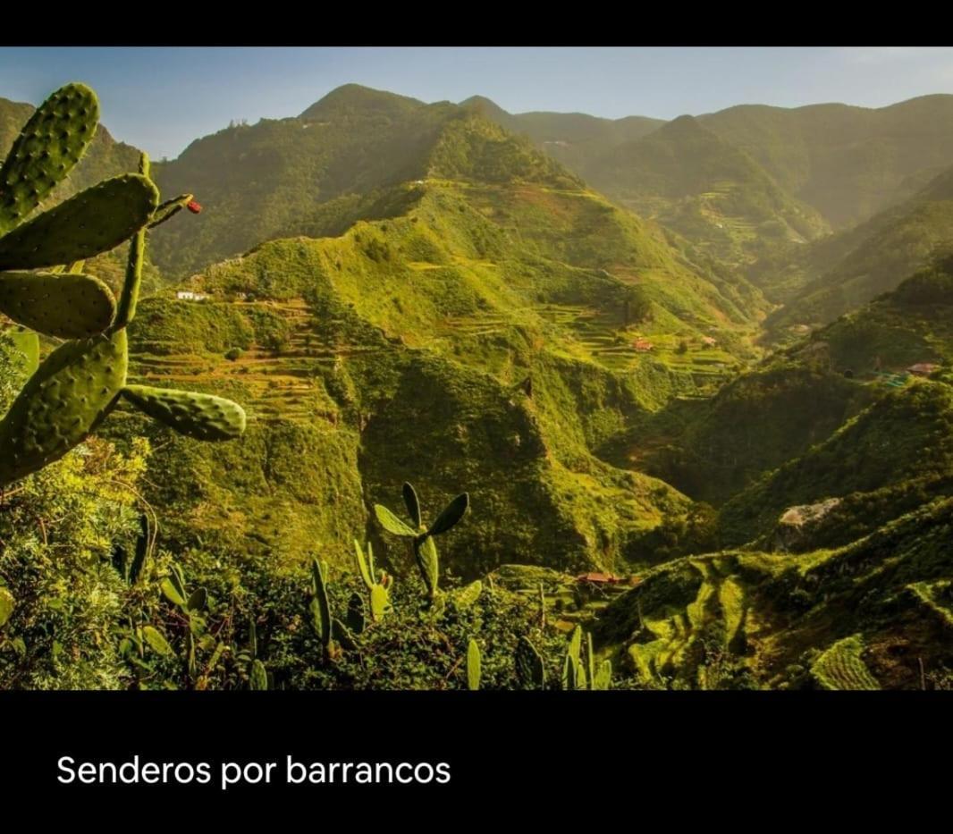 Playa Benijo Paraiso Rural Trail Santa Cruz de Tenerife Bagian luar foto